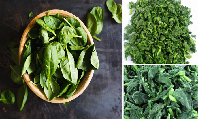 THE 3 STEPS FOR ACHIEVING PREMIUM IQF SPINACH