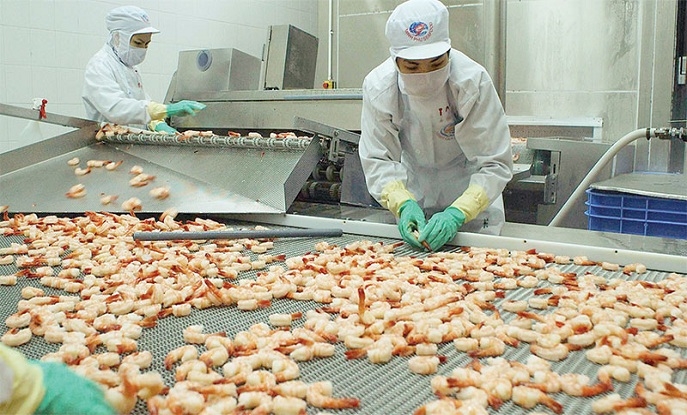 FORECASTING VIETNAM'S SHRIMP EXPORTS WILL BE MORE FAVORABLE IN 2020