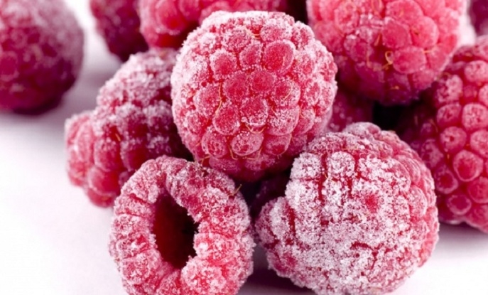 THE CHALLENGES OF IQF FREEZING RASPBERRIES