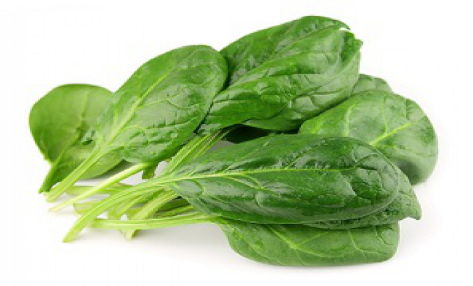 PROCESSING LEAFY GREENS - WASHING IS NOT ENOUGH TO MITIGATE E.COLI